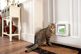 SureFlap Cat Flap Review - Which Cat Flap Is The Best Buy