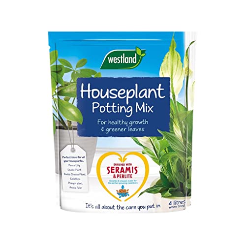 Houseplant Potting Mix (Enriched with Seramis)