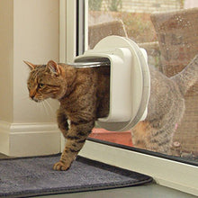 Load image into Gallery viewer, SureFlap Dual Scan Microchip Cat Flap, White
