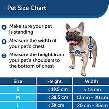 Load image into Gallery viewer, PetSafe Extreme Weather Pet Door Medium, Easy Install, Insulating, Weather Proof, Energy Efficient, 3 Flap System
