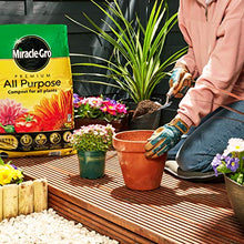 Load image into Gallery viewer, Miracle-Gro 119760 All Purpose Compost - 50 Litre BAG, Yellow, Earth ,Pack of 1
